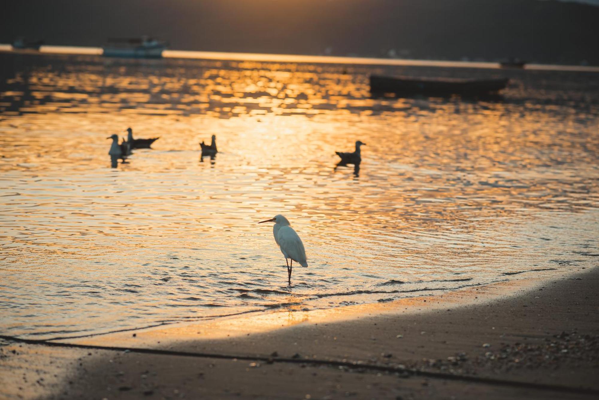 Hotel Pousada Canto Do Pescador Bombinhas Zewnętrze zdjęcie